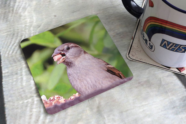 Picture of House Sparrow - Aluminium Drinks Coaster