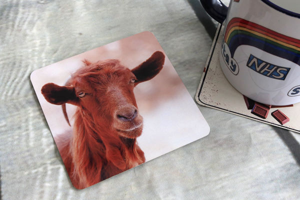 Picture of Goat #2 - Aluminium Drinks Coaster