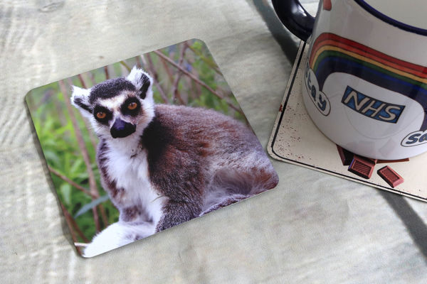 Picture of Lemur #1 - Aluminium Drinks Coaster