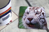 Picture of White Tiger - Aluminium Drinks Coaster